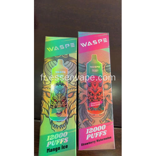 Waspe bang populaire 12000puffs Vape France